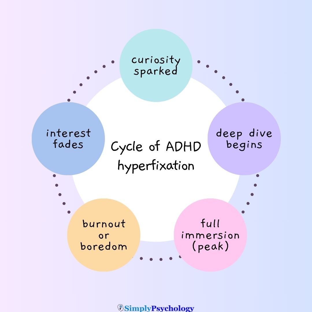 Cycle of ADHD Hyperfixation Curiosity Sparked Deep Dive Begins Full Immersion (Peak) Burnout or Boredom Interest Fades, New Focus Appears