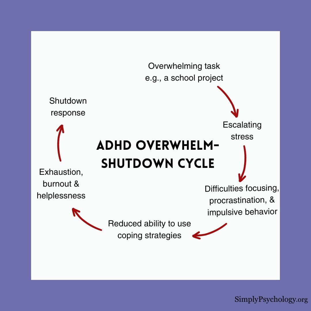 An infographic outlining a cycle, titled 'ADHD overwhelm-shutdown cycle' in the centre and stages of the cycle surrounds it.