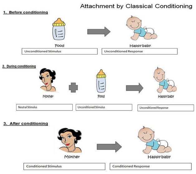 Learning Theory of Attachment 1 attachment conditioning