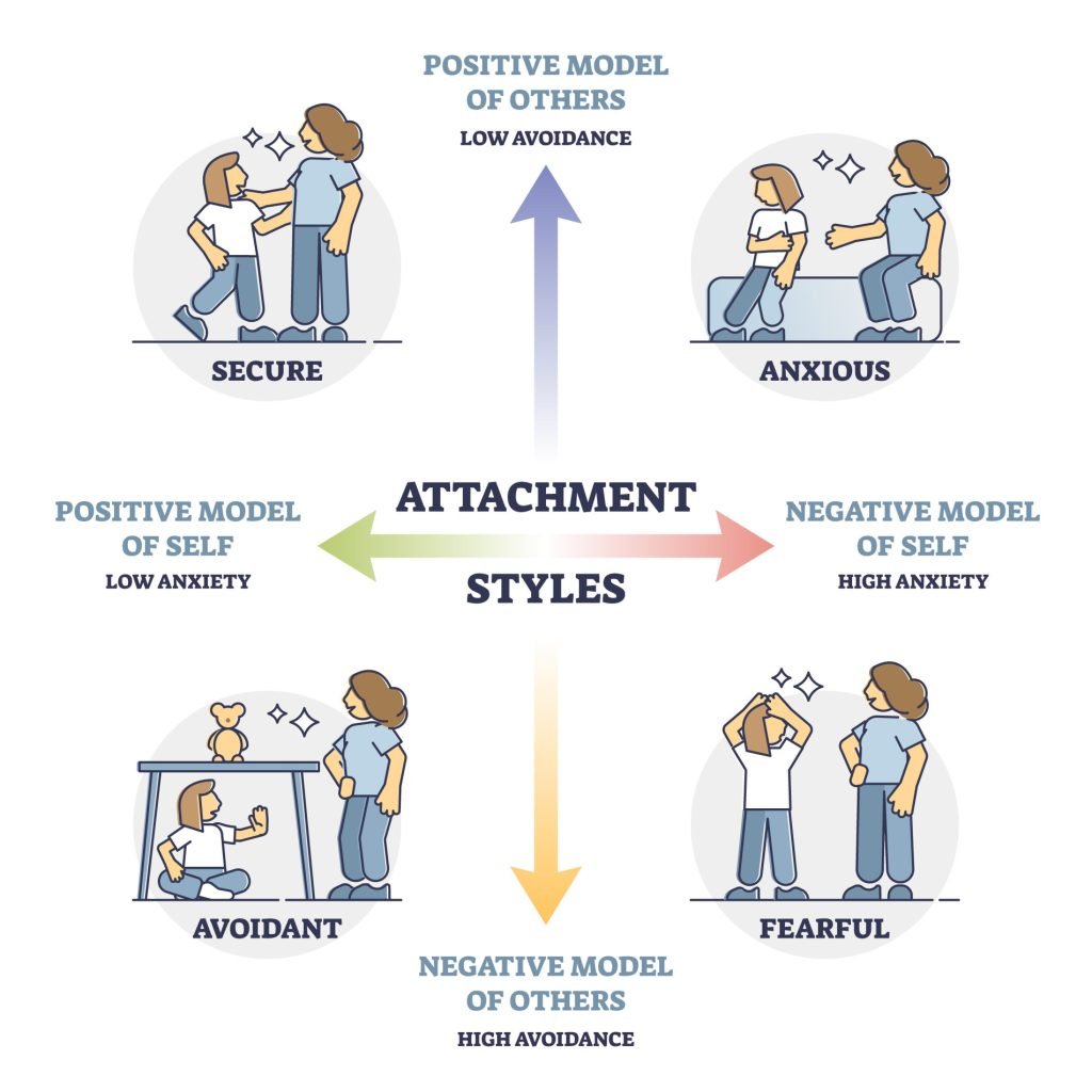 Attachment Theory In Psychology 4 attachment working models