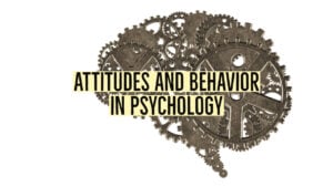 Components of Attitude: ABC Model 5 attitudes and behavior 1