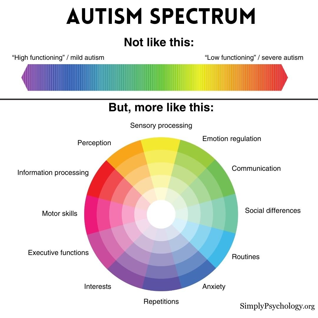 Autism Spectrum An infographic showing 2 spectrums of autism. one is a straight line going from high functioning autism to low functioning autism. the bottom spectrum is a circle with different coloured sections to show how diverse autism is