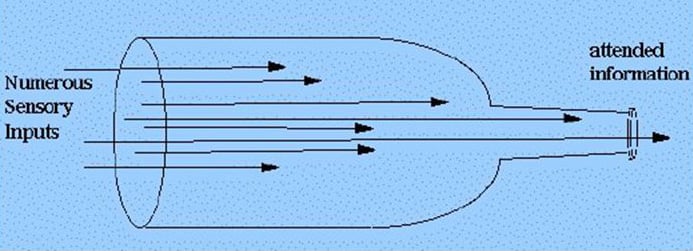 Theories of Selective Attention in Psychology 1 Bottleneckmetaphor