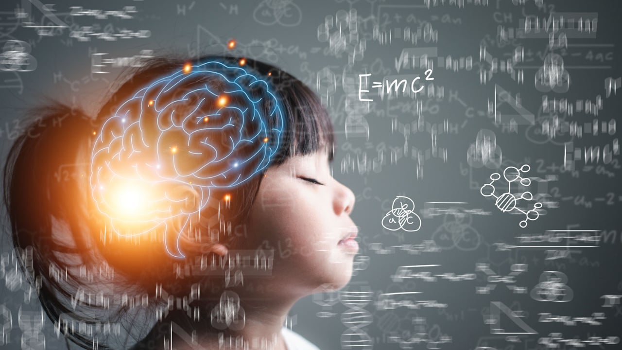 Critical Period In Brain Development and Childhood Learning 1 brain critical development