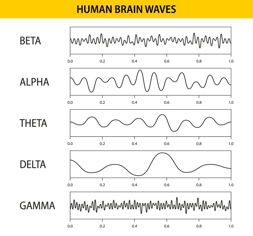 EEG Test (Electroencephalogram): Purpose, Procedure, and Risks 2 brain waves