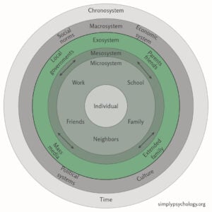 Bronfenbrenner's Exosystem Theory 3 An infographic of concentric circles outlining bronfenbrenner's ecological systems theory with the exosystem highlighted in green while the rest of the model is in greyscale.