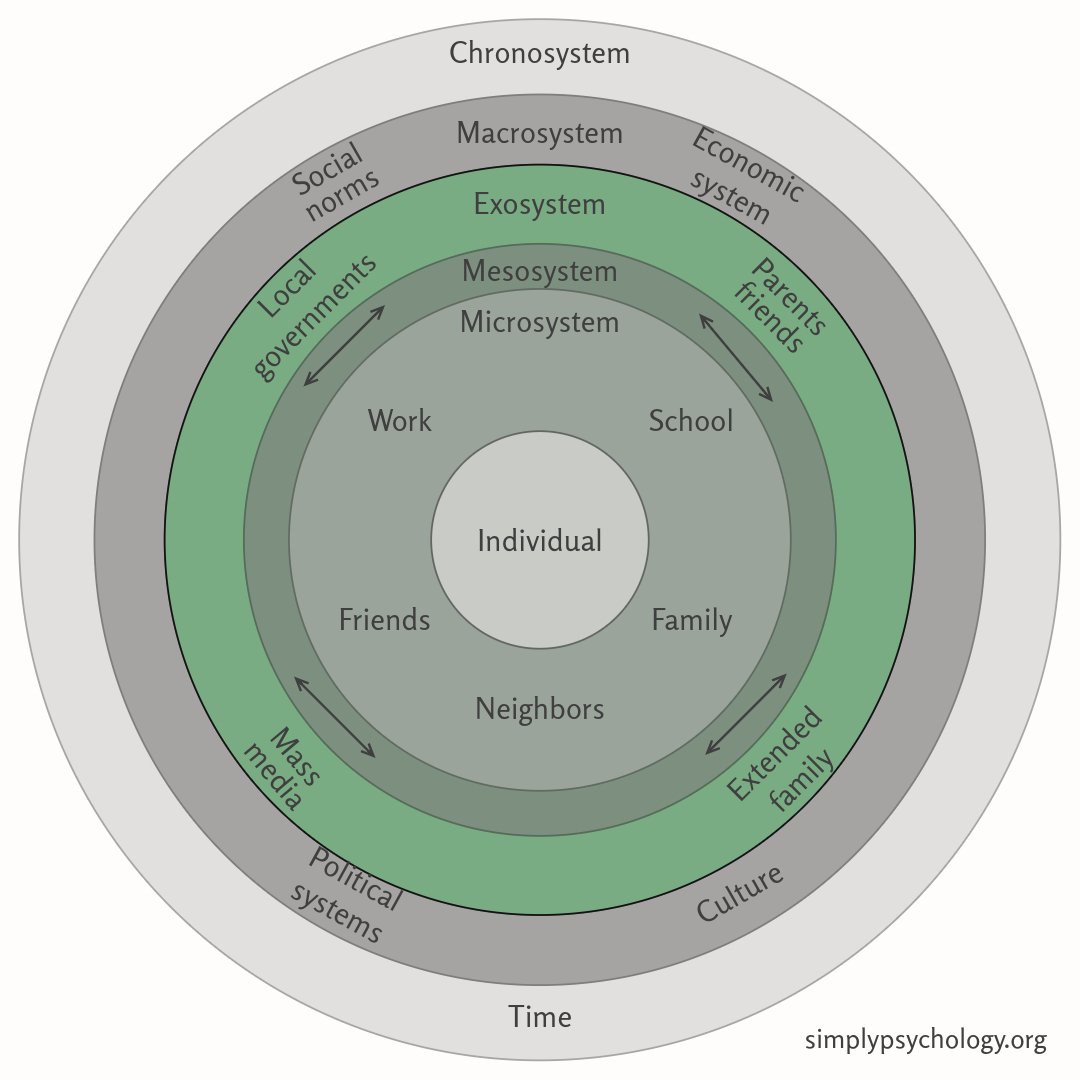 Bronfenbrenner Exosystem An infographic of concentric circles outlining bronfenbrenner's ecological systems theory with the exosystem highlighted in green while the rest of the model is in greyscale.