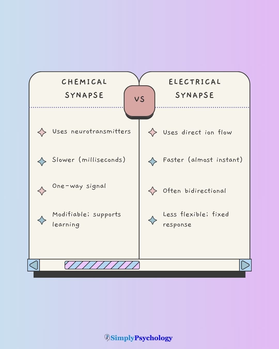 Chemical Vs Electrical Synapse A table outlining the differences between chemical and electrical synapses.