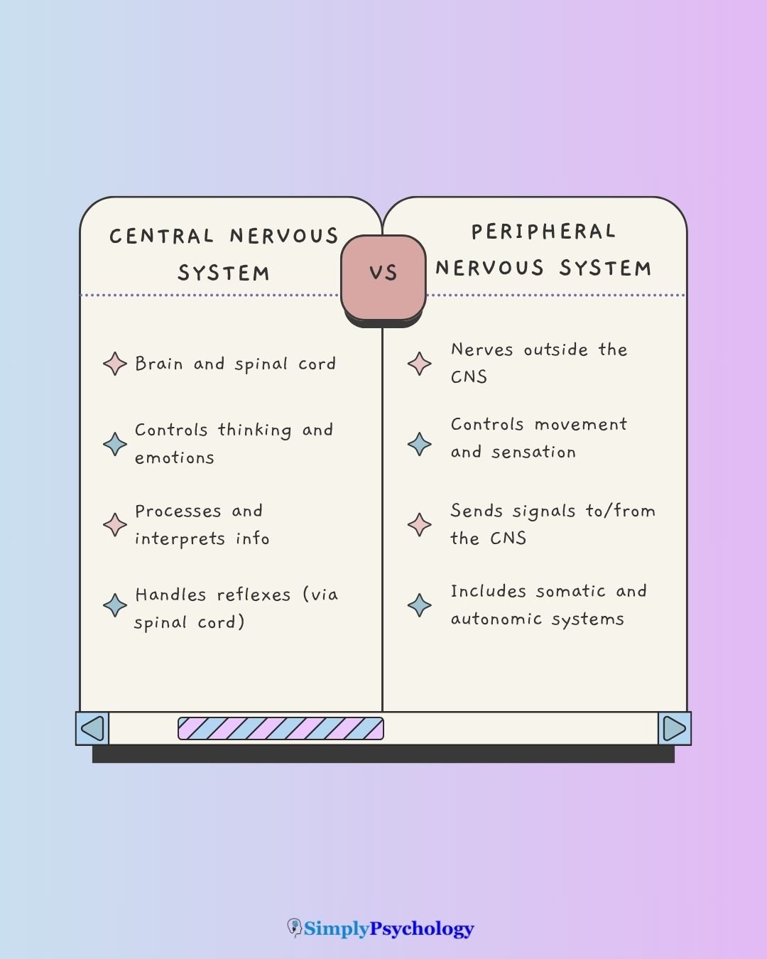CNS Vs PNS A comparison table about the differences between the central nervous system and the peripheral nervous system