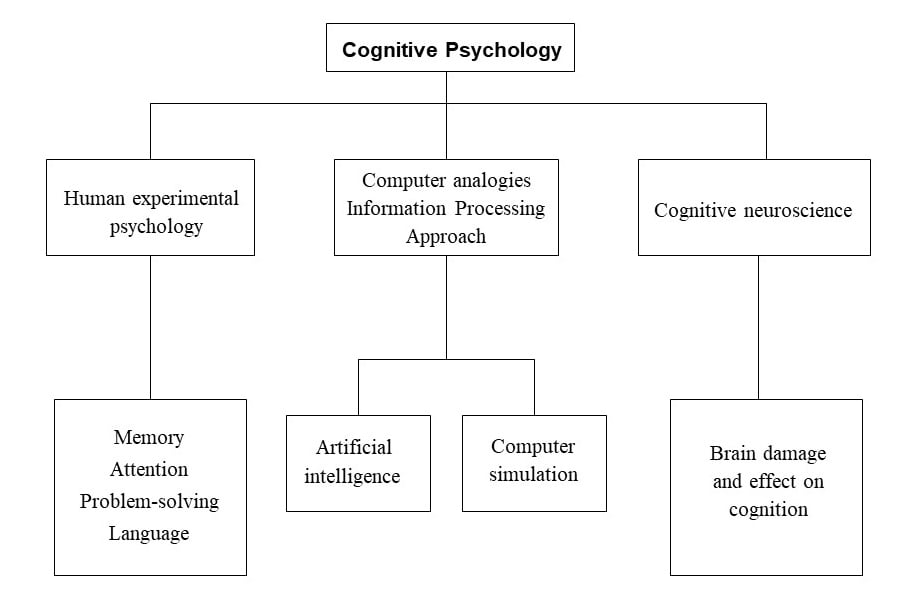 Cognitive Approach In Psychology 4 cognitive psychology sub-topics