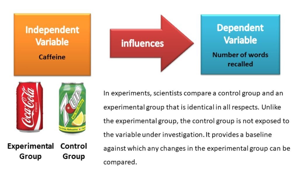 Control Group vs Experimental Group 1 In experiments, scientists compare a control group and an experimental group that is identical in all respects. Unlike the experimental group, the control group is not exposed to the variable under investigation. It provides a baseline against which any changes in the experimental group can be compared.