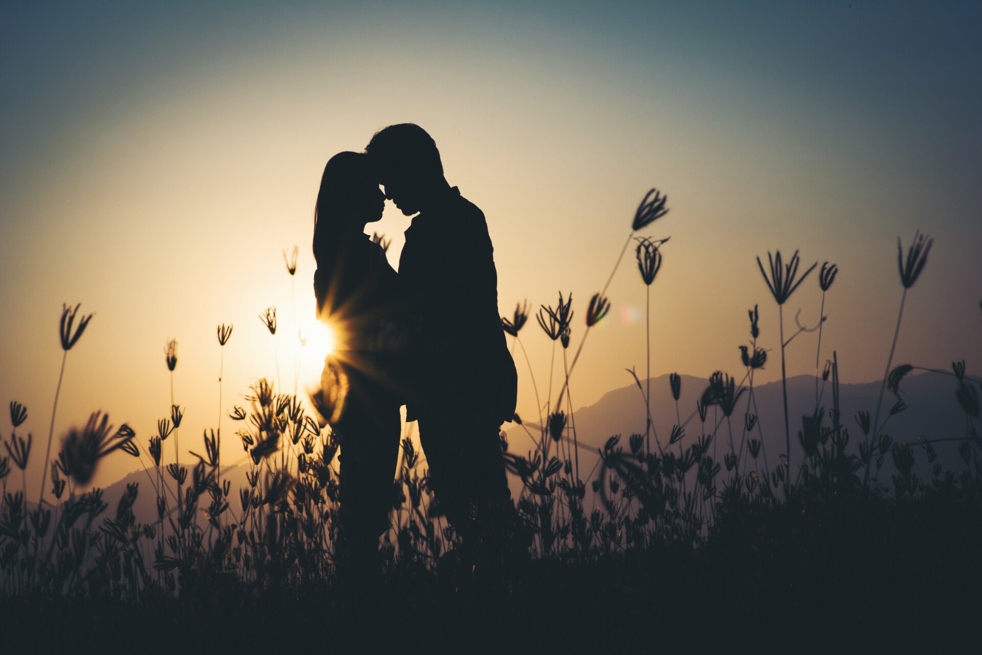 silhouette of a couple in love silhouette during sunset in a field.