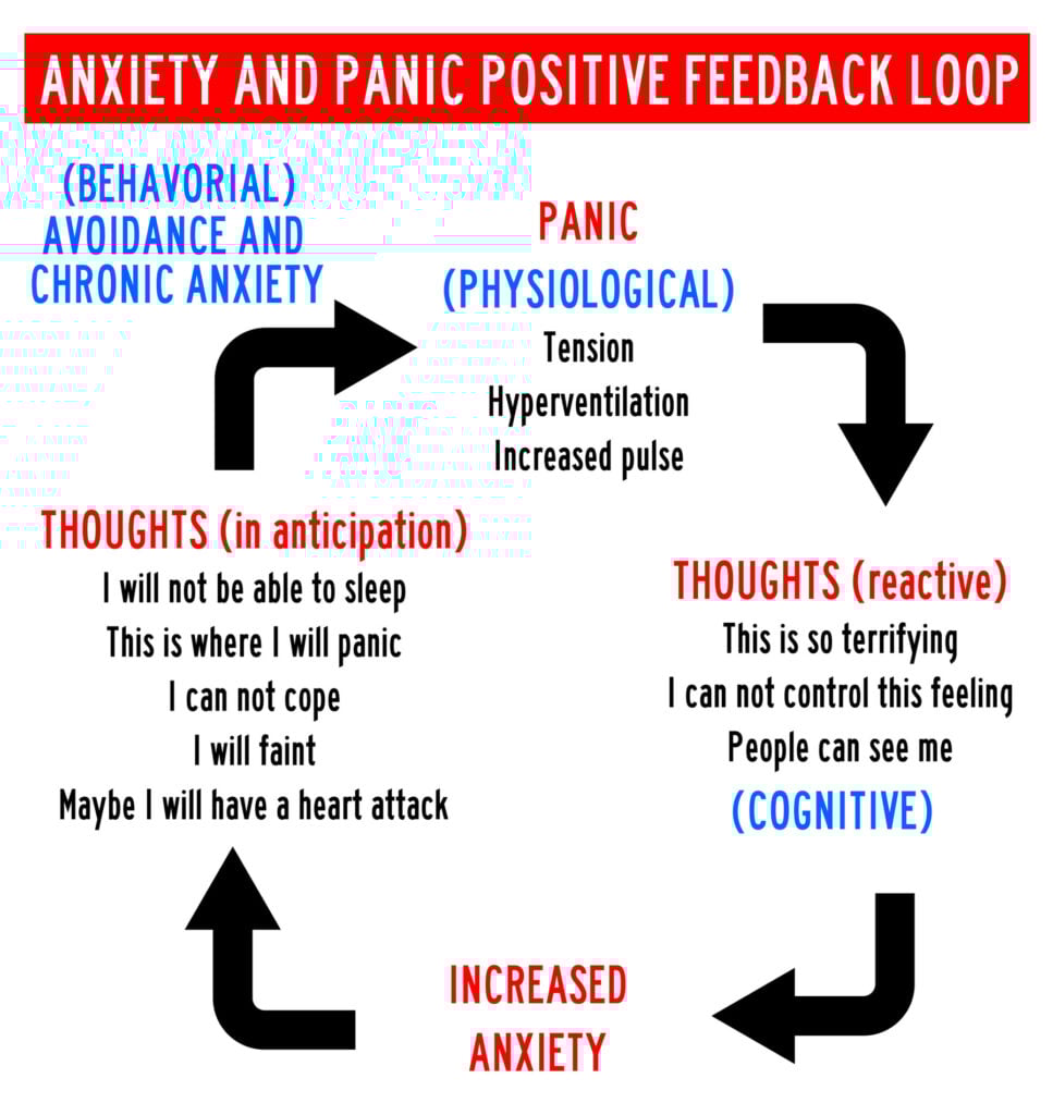 What Does A Panic Attack Feel Like? How Symptoms Are Experienced 2 cycle of panic anxiety