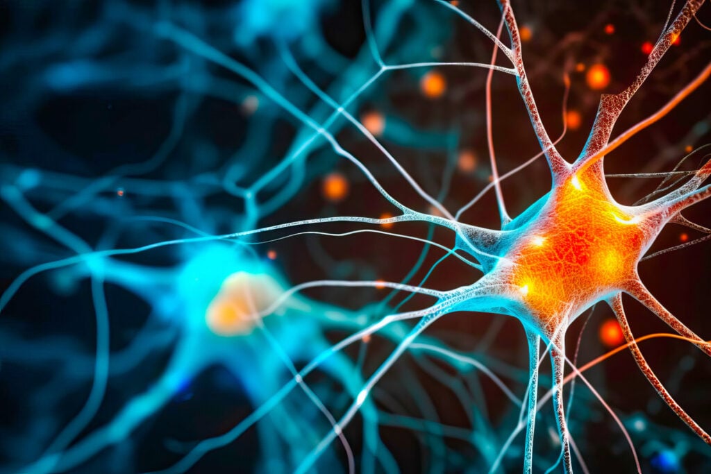 What is the Default Mode Network? 1 default mode network