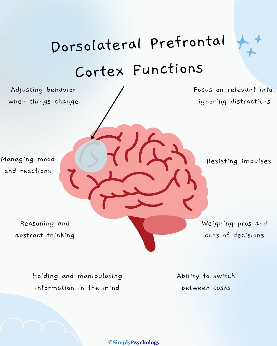Dorsolateral Prefrontal Cortex A mindmap infographic titled "dorsolateral prefrontal cortex functions" with a brain in the centre and some functions surrounding it such as managing mood, task switching, and resisting impulses.