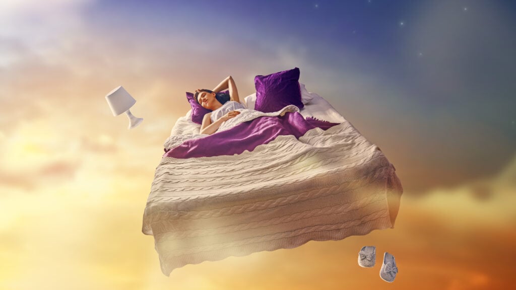 Sigmund Freud Dream Theory 1 dream