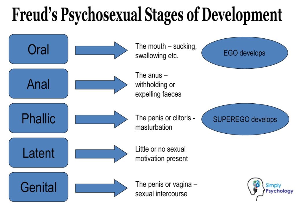 Freud's Psychosexual Theory and 5 Stages of Human Development 2 freud psychosexual