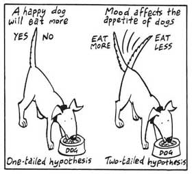 Research Hypothesis In Psychology: Types, & Examples 1 hypothesis
