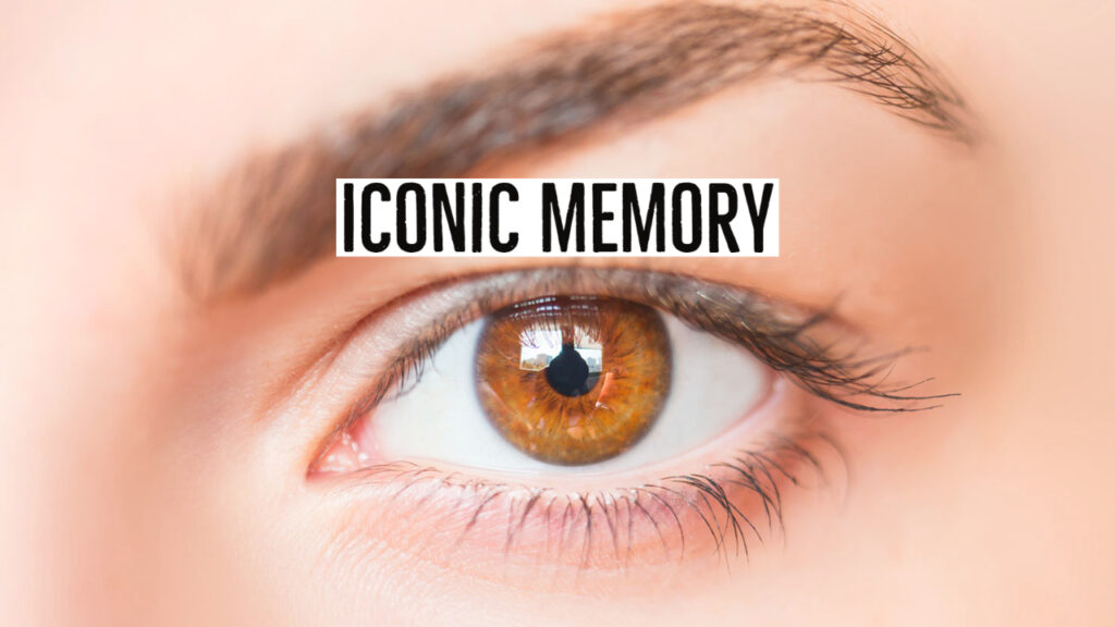 Iconic Memory: Definition & Examples 3 iconic memory 1