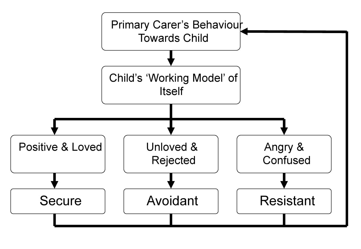 Attachment Styles In Adult Relationships 3 internal working model of attachment