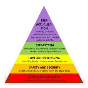 Humanistic Approach In Psychology 3 maslow needs3