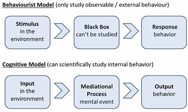 Albert Bandura's Social Learning Theory 2 social Learning Theory Mediational Processes