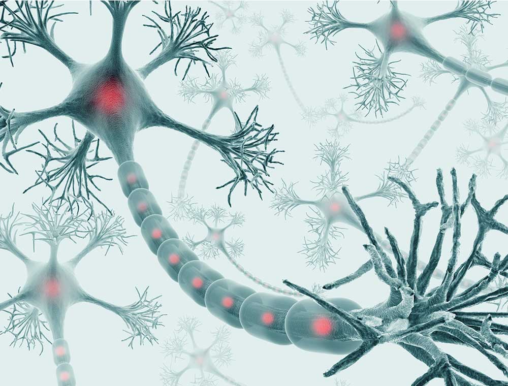 neurons-connection2 neurons connection2