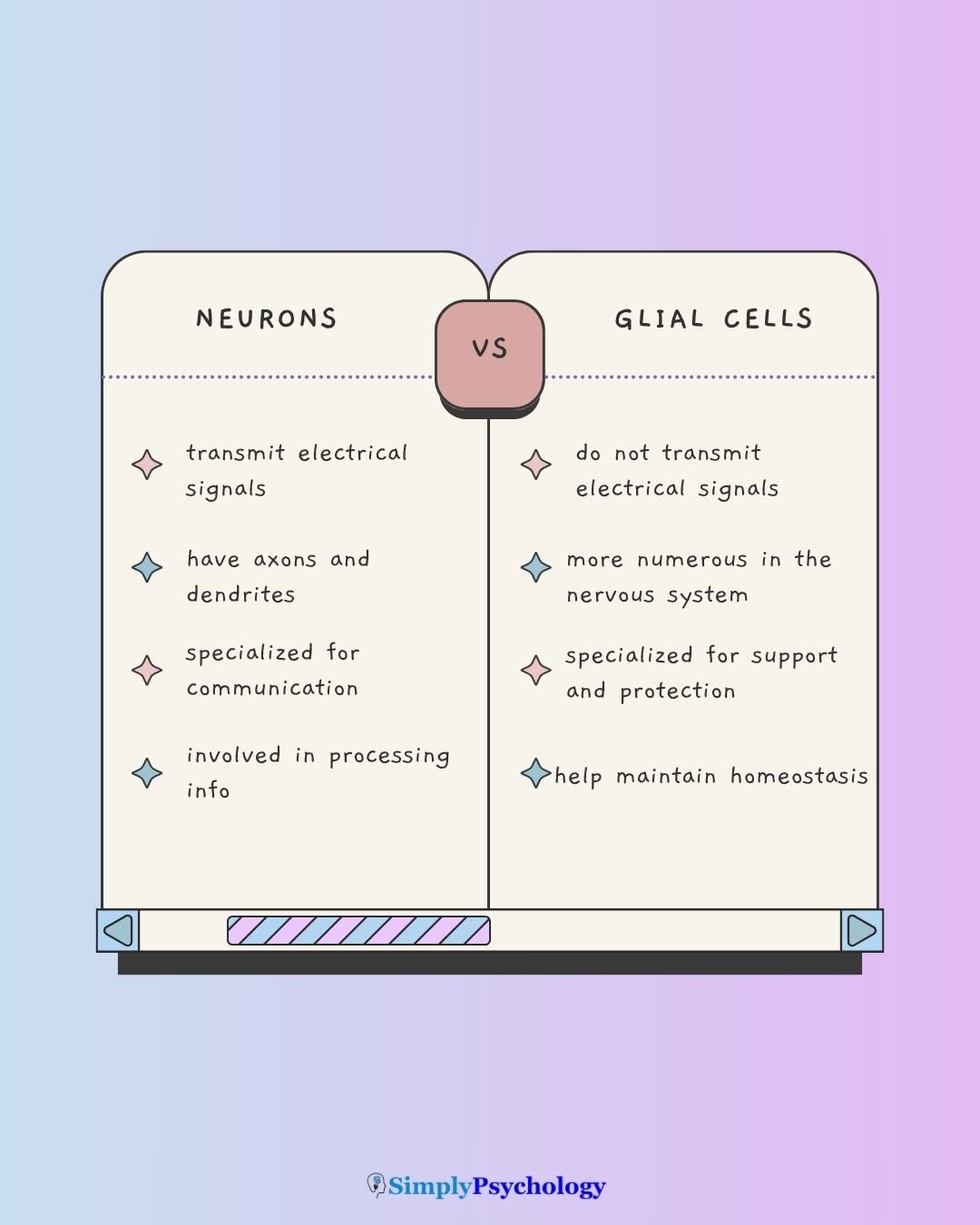 A table outlining the differences between neurons and glial cells.