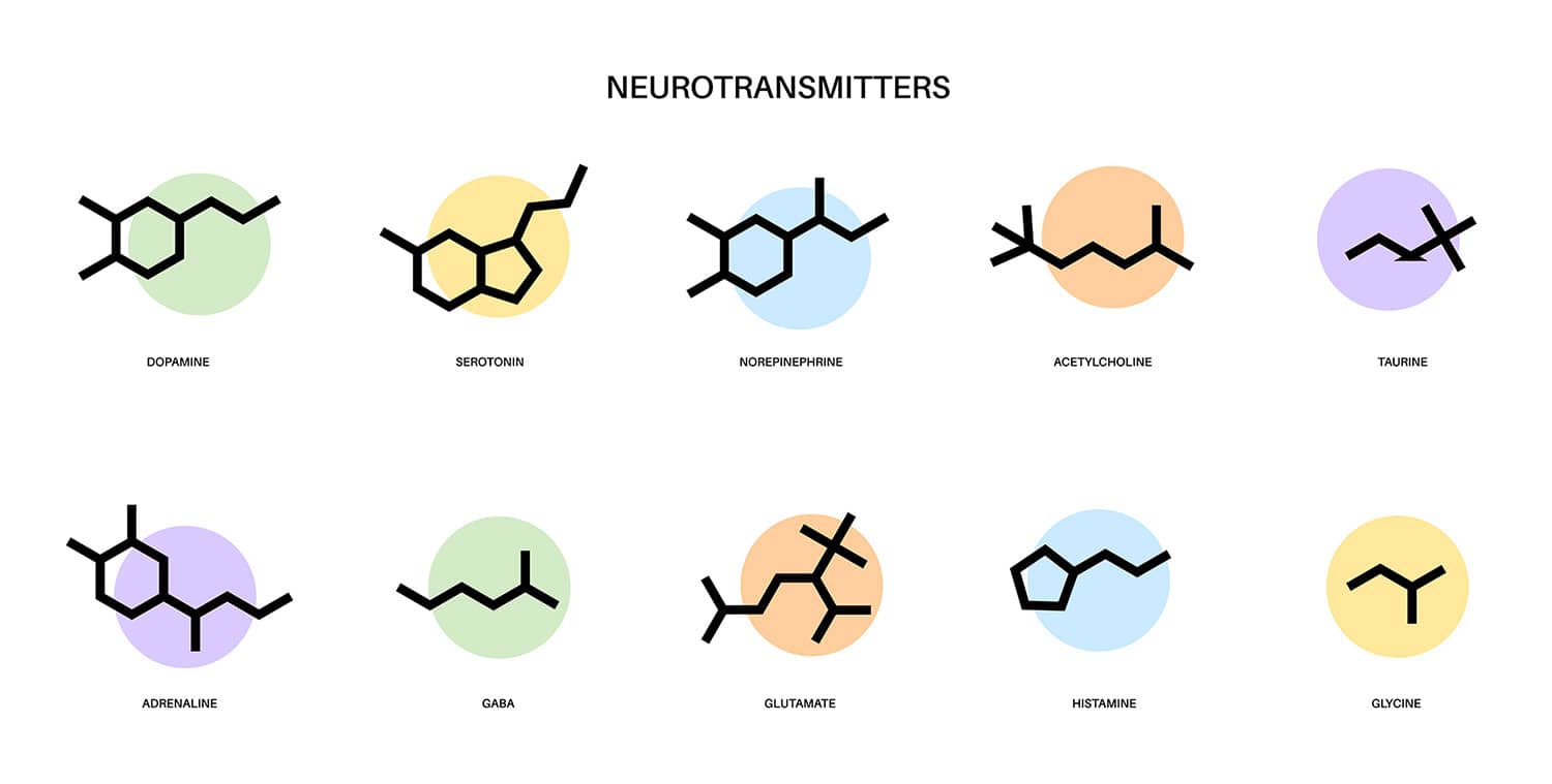 Neurotransmitters: Types, Function and Examples 3 neurotransmitter formulas