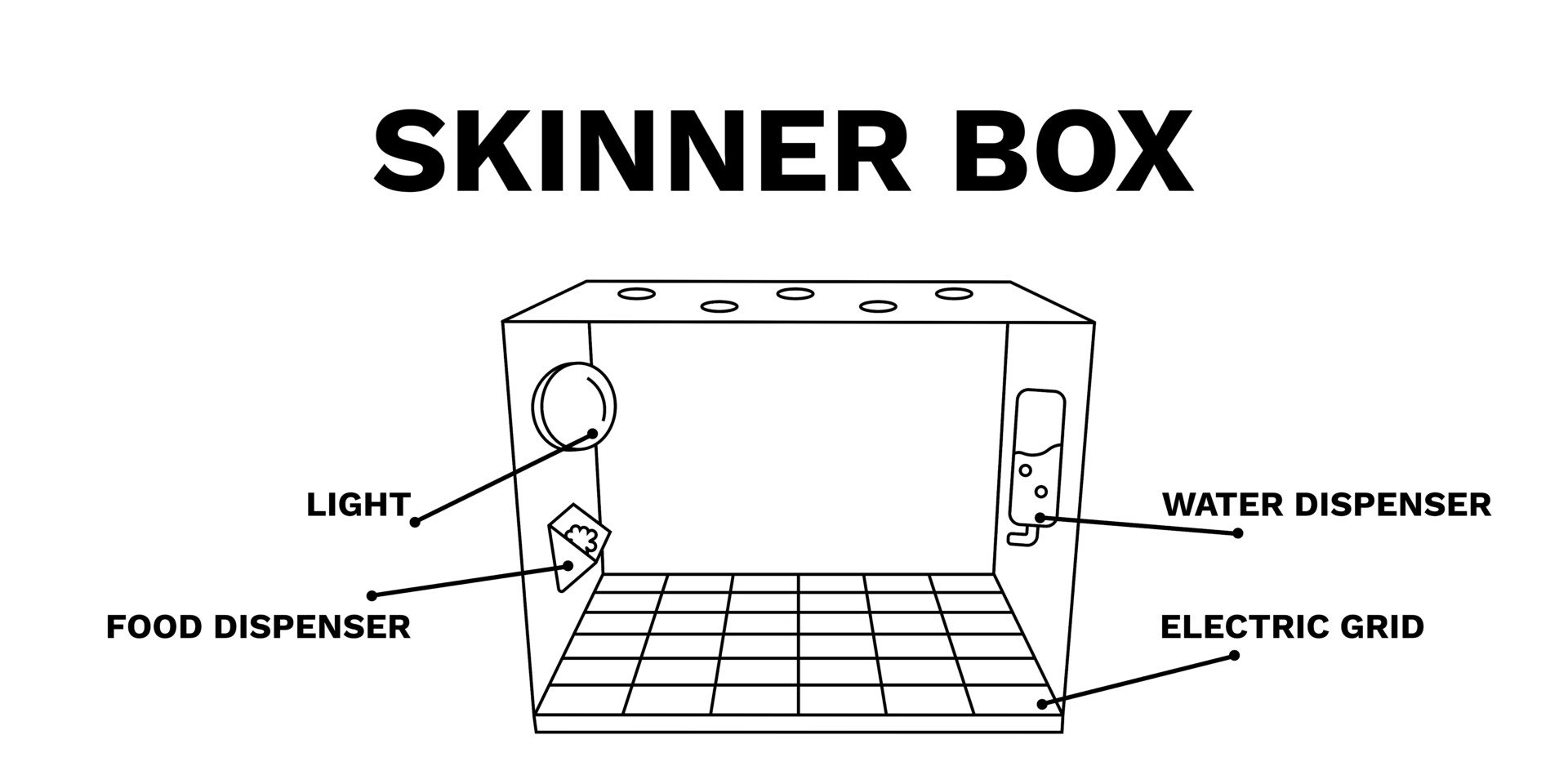 operant-conditioning-chamber operant conditioning chamber