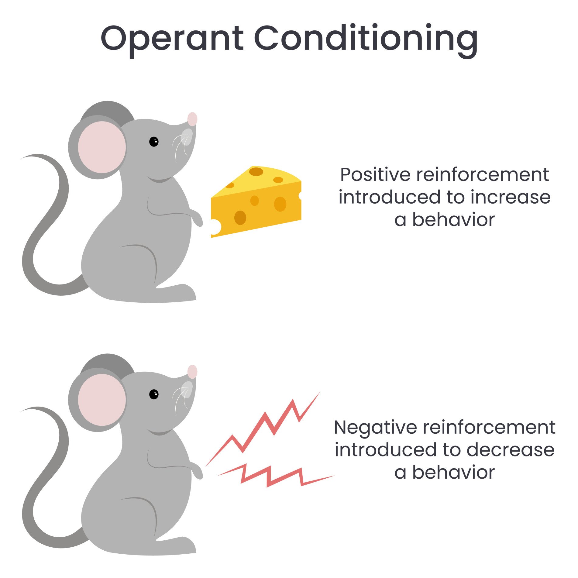 Operant-Conditioning-Reinforcement Operant Conditioning Reinforcement 1