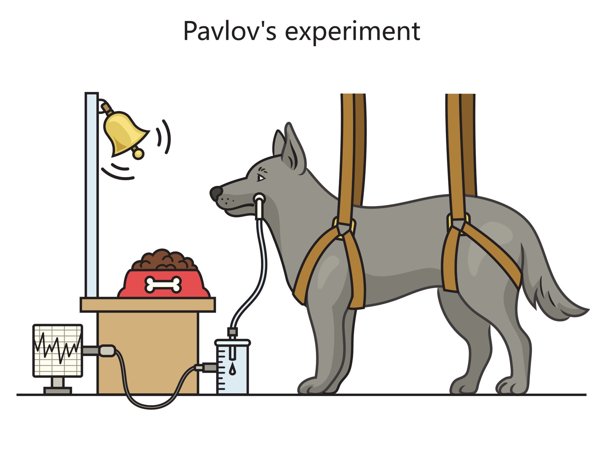 pavlov-dogs pavlov dogs