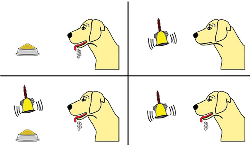 Pavlov’s Dogs Experiment and Pavlovian Conditioning Response 1 pavlov2 e1698175375621