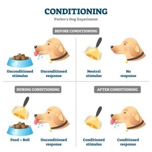 Classical Conditioning: How It Works With Examples 5 Pavlovs Dogs Experiment