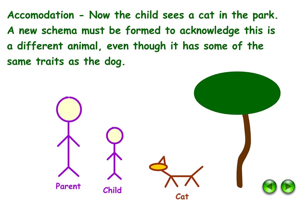 Understanding Accommodation and Assimilation in Psychology 8 Example of accommodation in Psychology