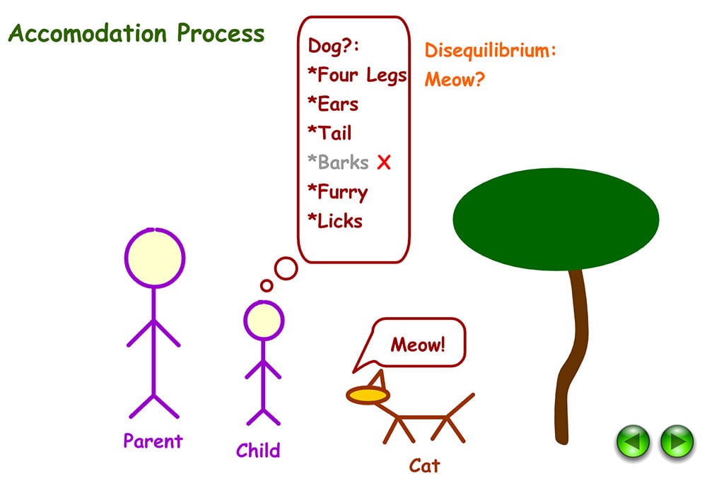 Understanding Accommodation and Assimilation in Psychology 9 Example of accommodation in Psychology