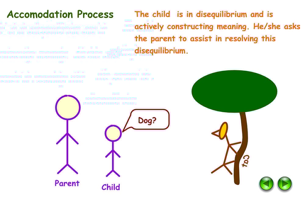 Understanding Accommodation and Assimilation in Psychology 11 Example of accommodation in Psychology