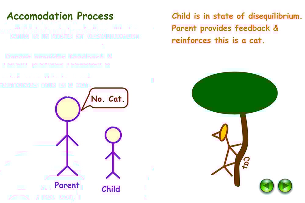 Understanding Accommodation and Assimilation in Psychology 12 Example of accommodation in Psychology