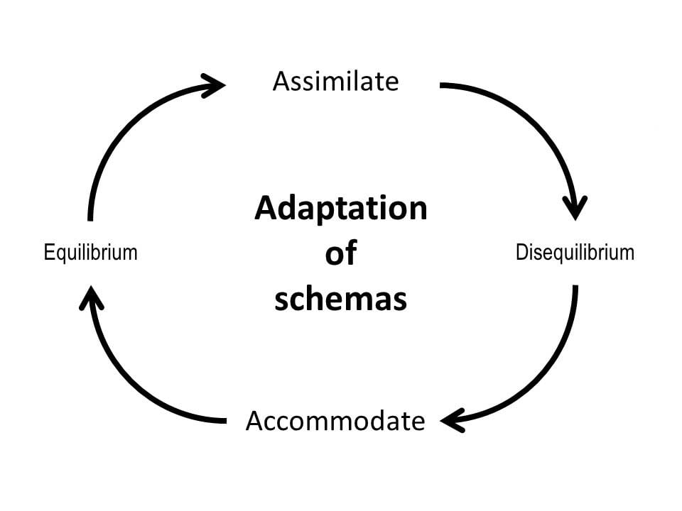 Understanding Accommodation and Assimilation in Psychology 14 Accommodation and Assimilation in Psychology