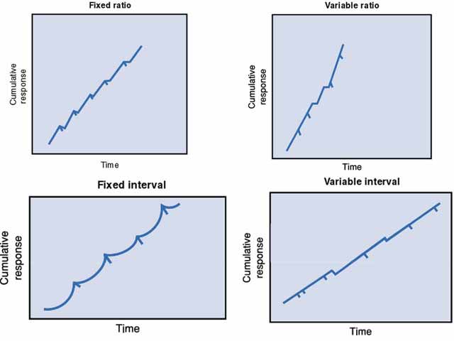 Operant Conditioning: What It Is, How It Works, and Examples 4 How Reinforcement Schedules Work