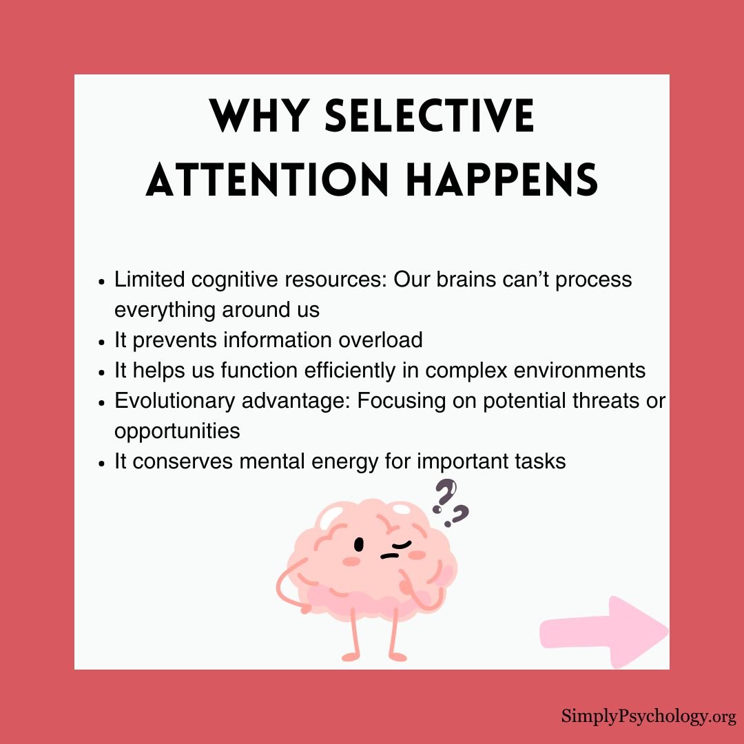 selective-attention (2) selective attention 2