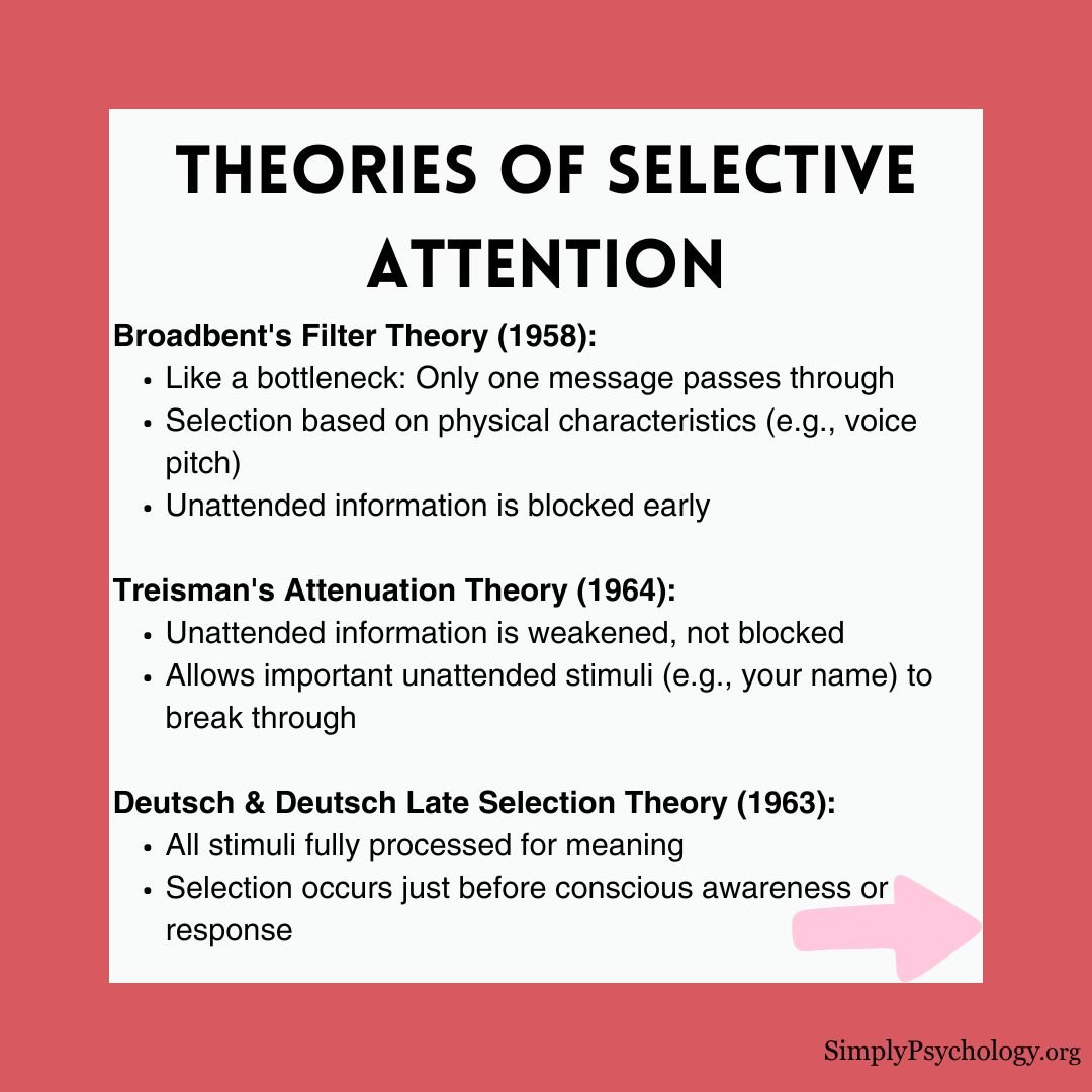 selective-attention (3) selective attention 3