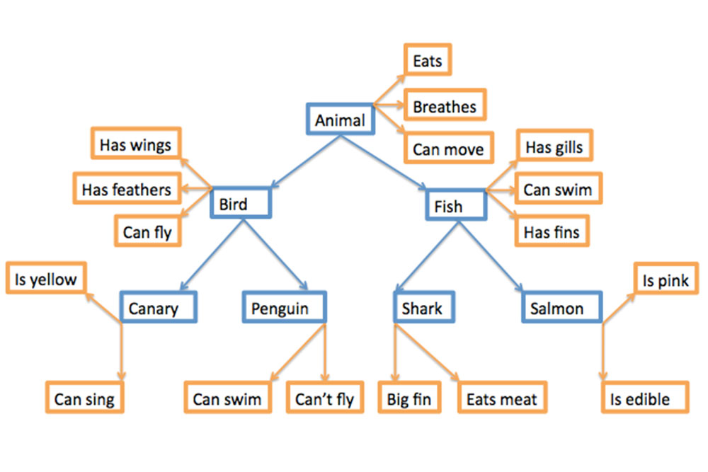 Semantic Memory In Psychology 2 semantic memory