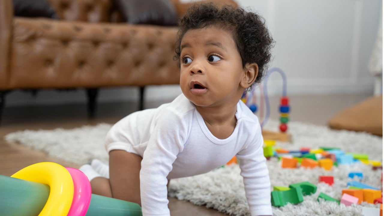 Sensorimotor-Stage Sensorimotor Stage