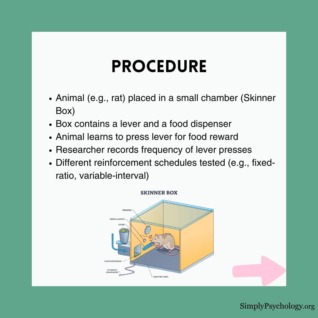 skinner-box-experiment (2) skinner box experiment 2