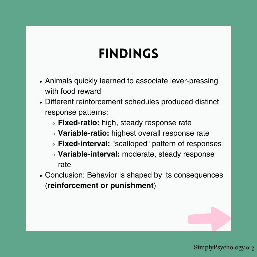 skinner-box-experiment (3) skinner box experiment 3