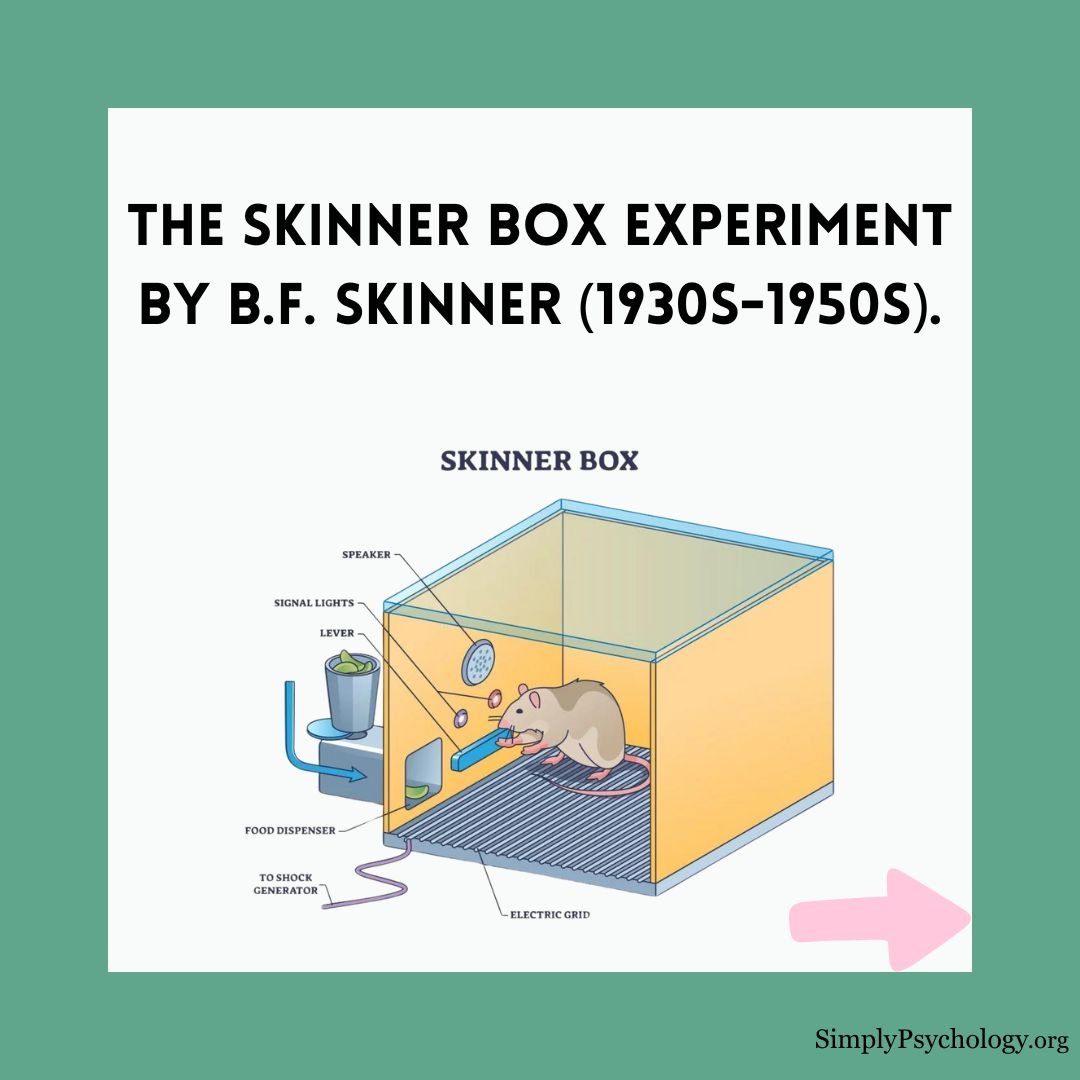 skinner-box-experiment skinner box