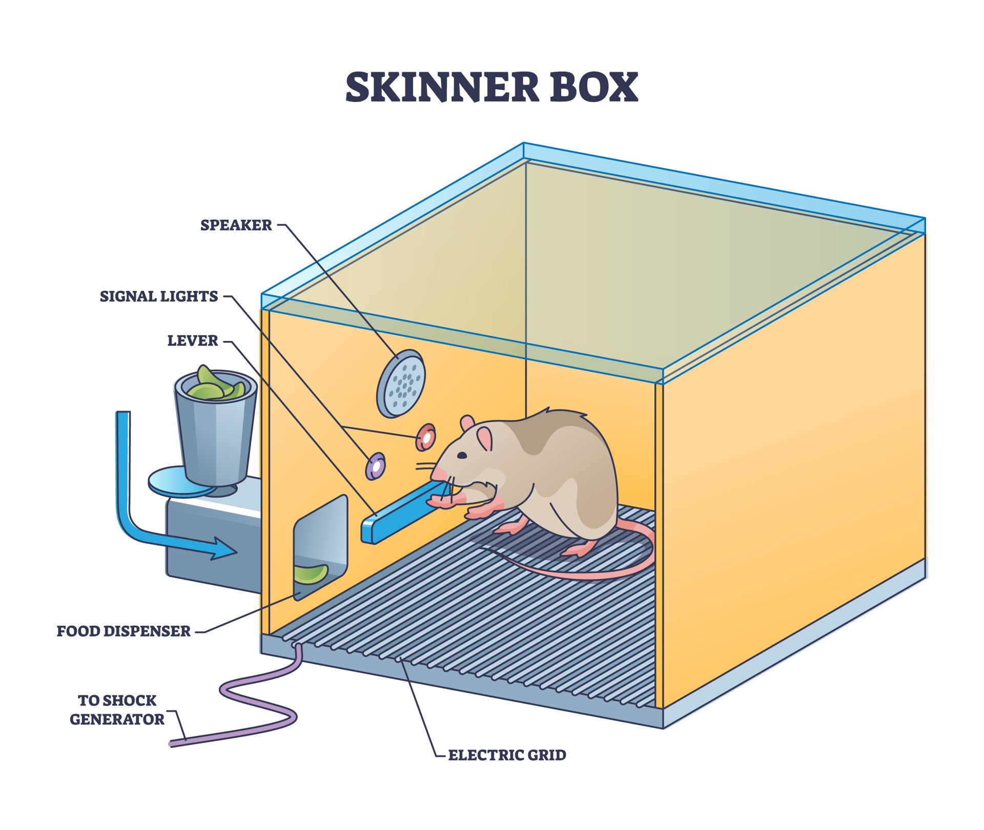 Skinner Box: Operant Conditioning Chamber Skinner box or operant conditioning chamber experiment outline diagram. Labeled educational laboratory apparatus structure for mouse or rat experiment to understand animal behavior vector illustration