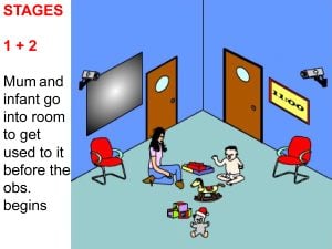 Mary Ainsworth: Strange Situation Experiment 23 strange situation