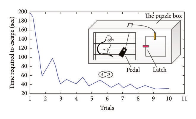 Thorndikes-puzzle-box-and-the-learning-curve-in-the-cat-experiment Thorndikes puzzle box and the learning curve in the cat